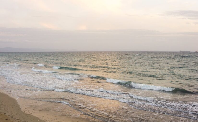 chi ha inventato le ferie è un cretino